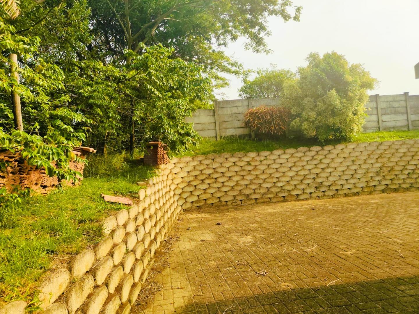769047_44.jpeg